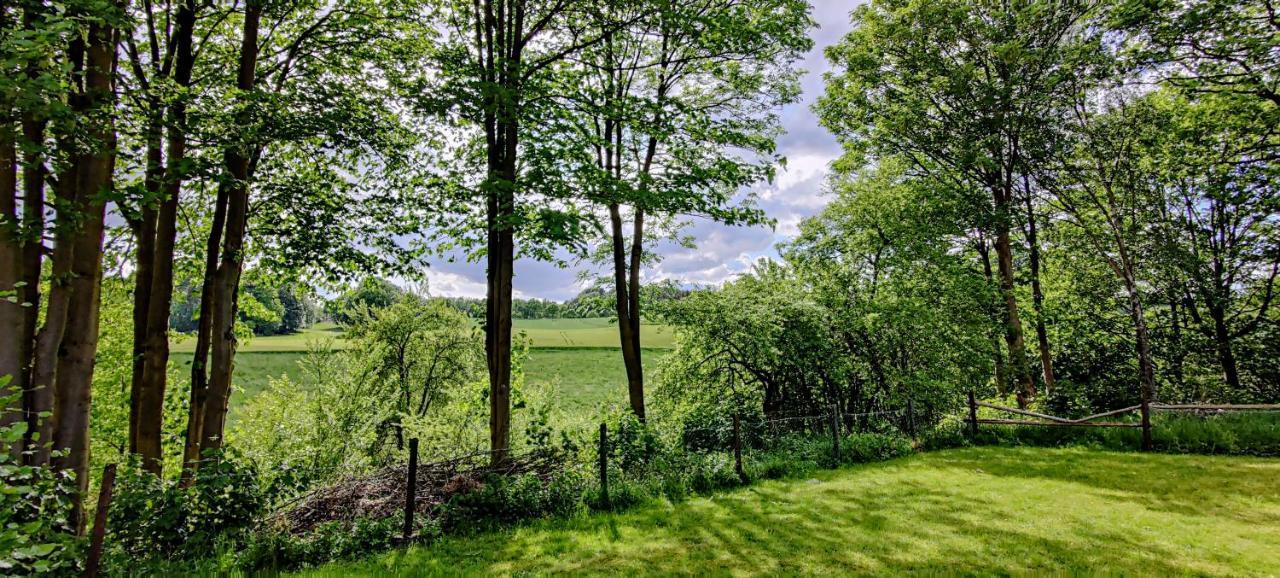 Inikama: Designer Apartment Im Gruenen - Netflix Rosengarten  Esterno foto